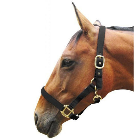 NYLON HEADCOLLAR PONY/BLACK